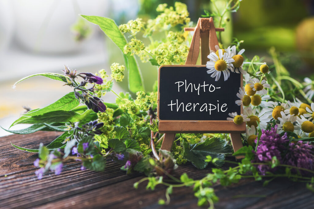 Heilpraktiker finden in Bremen mit dem Schwerpunkt Phytotherapie